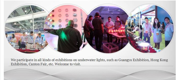 XYH Stainless Steel LED Swimming pool lights